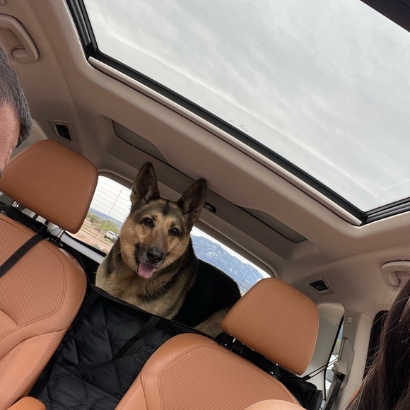 gsd_life